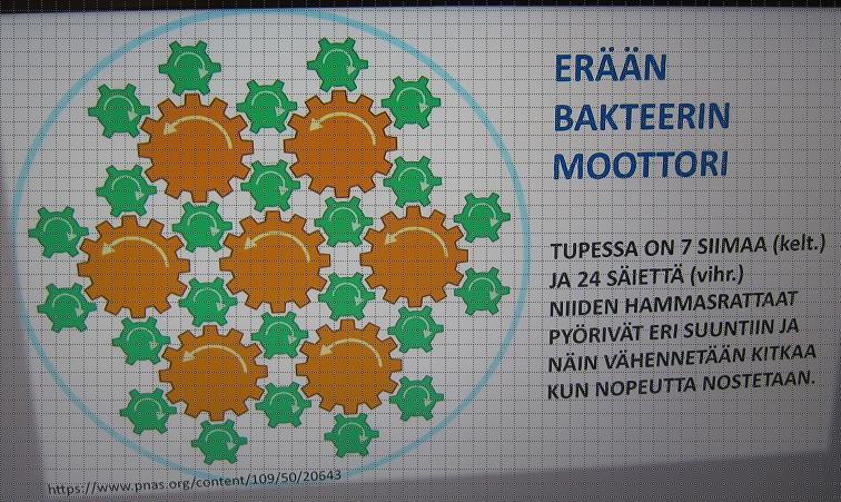 Jumalan suunnittelema ja luoma moottori